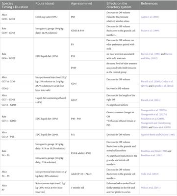 Effects of prenatal alcohol exposure on the olfactory system development